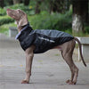 Winter Waterproof Vest