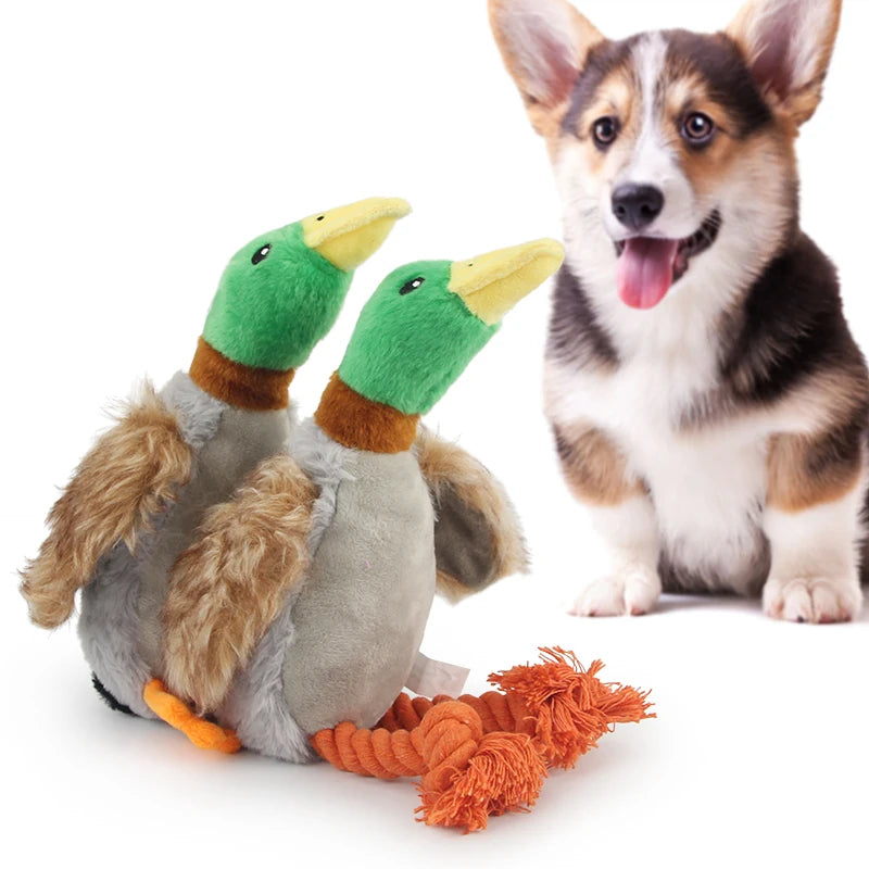 Dog toys