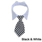 Formal Necktie Collar
