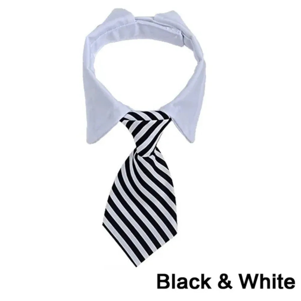 Formal Necktie Collar