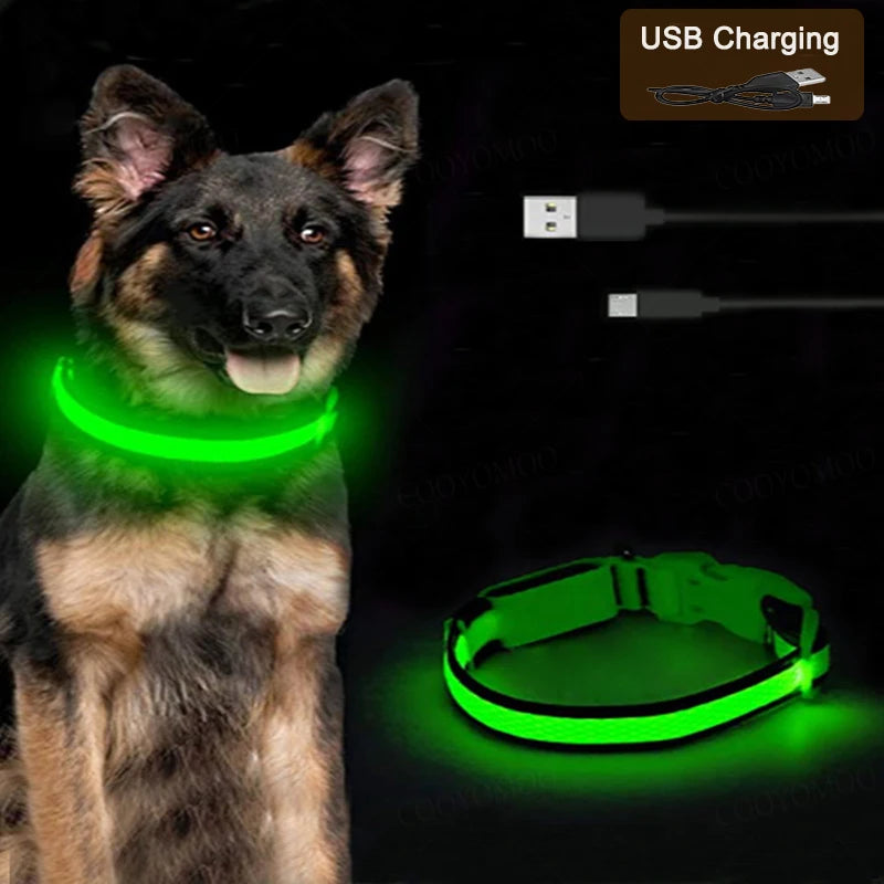 USB Charging Glowing Collar With Pendant