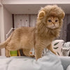 Cute Lion Mane Cat Costume