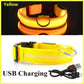 USB Charging Glowing Collar With Pendant