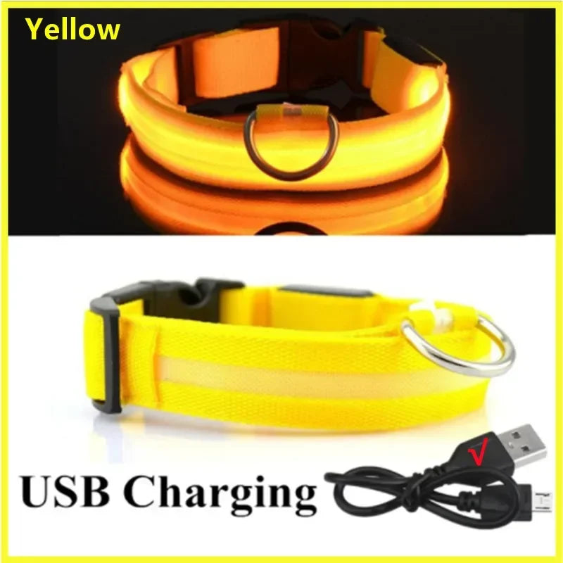 USB Charging Glowing Collar With Pendant