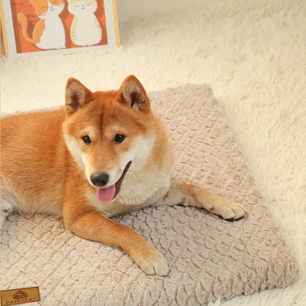 Orthopedic Memory Foam Dog Bed