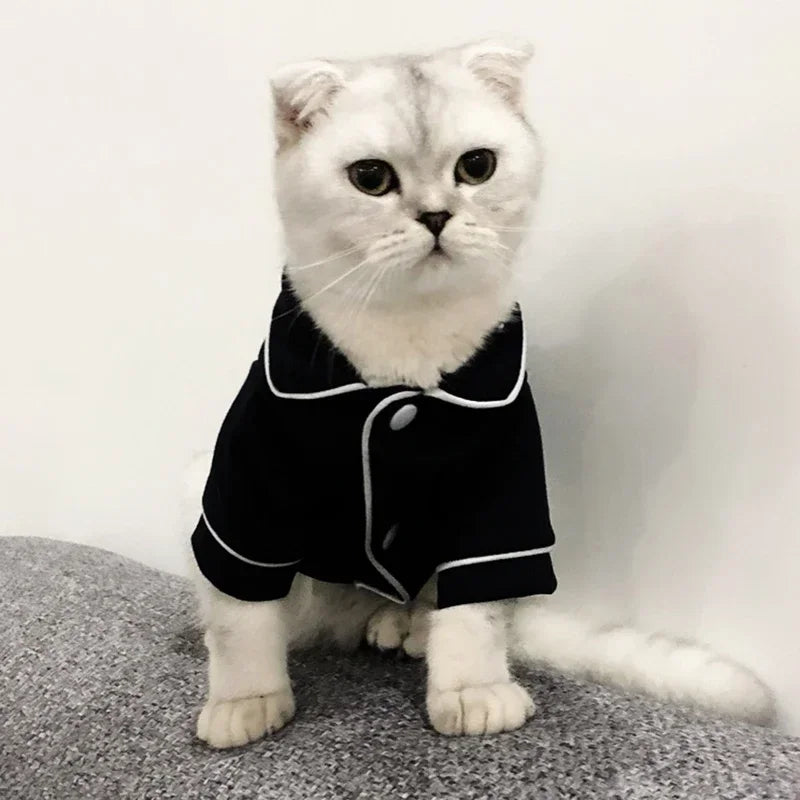 Cat Outfits