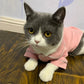 Stylish Pet Hoodie Set