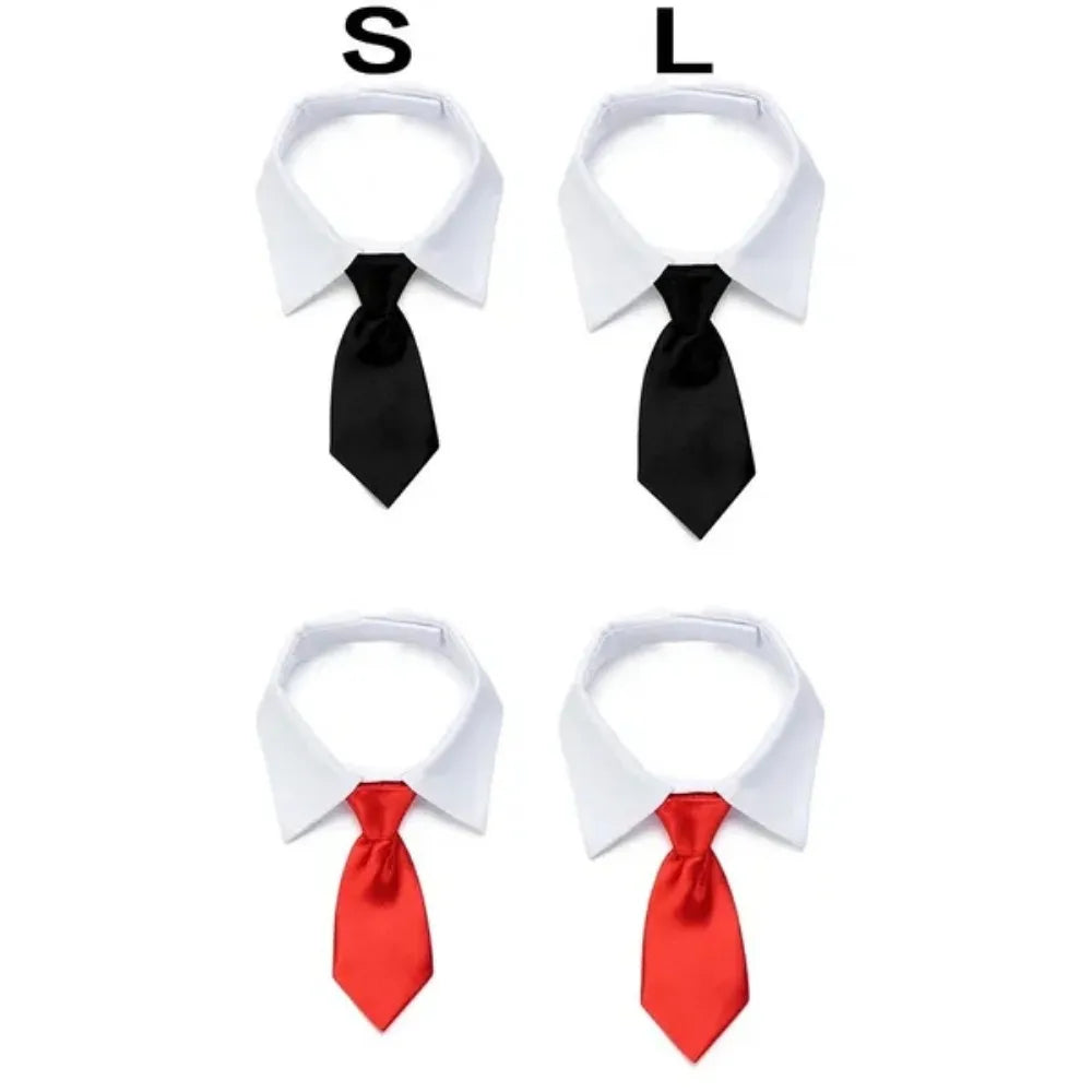 Formal Necktie Collar