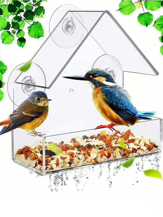 Acrylic Transparent Bird Feeder with Suction Cup