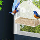 Acrylic Transparent Bird Feeder with Suction Cup
